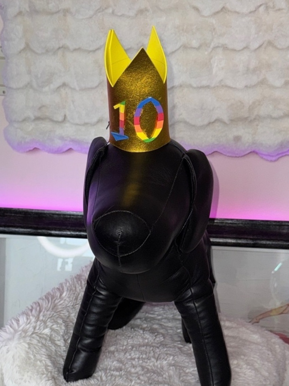 HANDCRAFTED Pet  Gold Birthday Crown this says 10 this was a mock up
